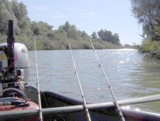 Au venit din Braşov să pescuiască în deltă şi au trecut ilegal graniţa